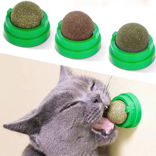 Natural catnip gato parede vara-na bola brinquedo scratchers trata saudável natural remove bolas para promover a digestão gato grama lanche